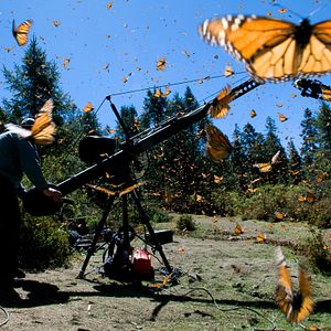 Photo Louie Schwartzberg