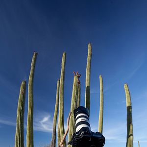 Photo Louie Schwartzberg