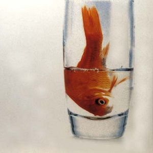 Photo Philippe Haïm