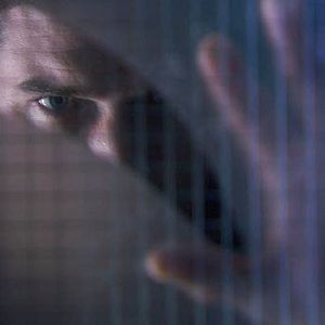 Photo Matthew Chambers