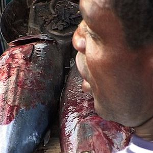 Photo Agnès Fouilleux