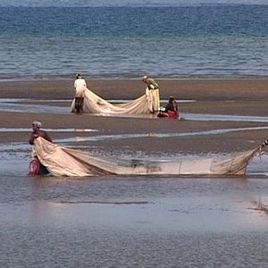 Photo Agnès Fouilleux