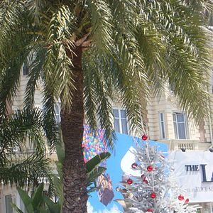 Photo Le Drôle de Noël de Scrooge