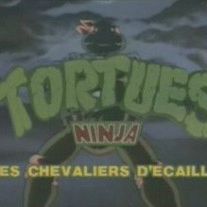 Photo Tortues Ninja: Les chevaliers d'écaille