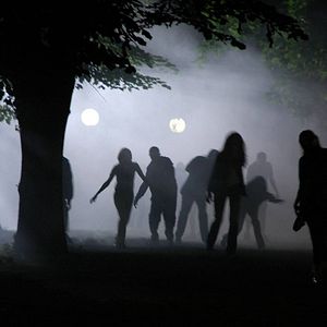 Photo Zone of the Dead