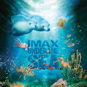 Photo Under the Sea