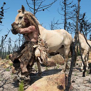 Photo Jacques Malaterre