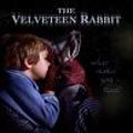 Photo Le Lapin en velours