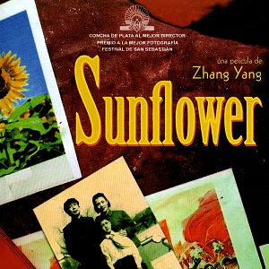 Photo Sunflower