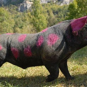 Photo Emmanuel Caussé