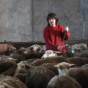 Photo Catherine Pozzo Di Borgo