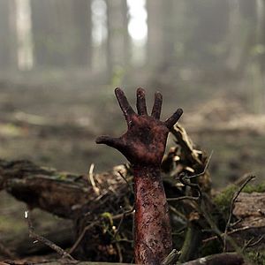 Photo Jon Harris (II)