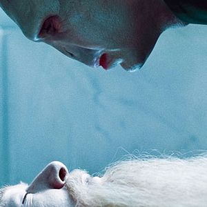 Photo Harry Potter et les reliques de la mort - partie 1