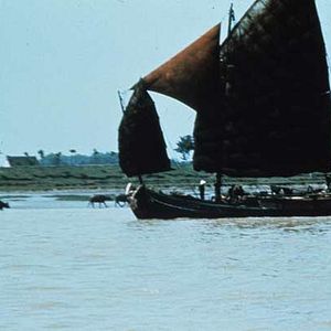 Photo Michelangelo Antonioni