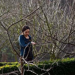 Photo Julie Sokolowski