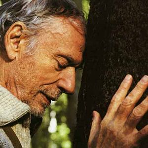 Photo IP5: L'île aux pachydermes