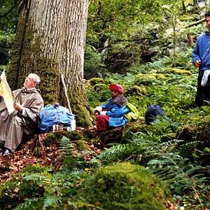 Photo IP5: L'île aux pachydermes