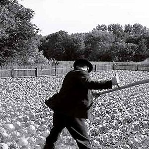 Photo Le Ruban blanc