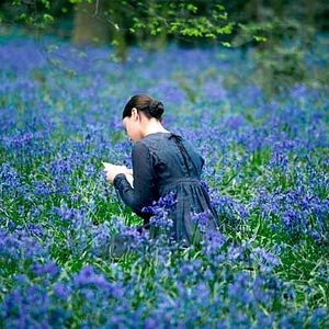 Photo Jane Campion