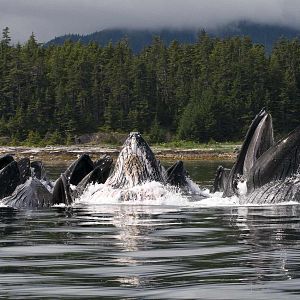 Photo Océans
