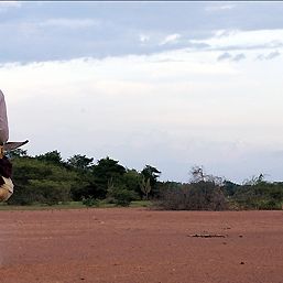 Photo Les Voyages du vent