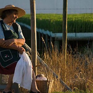 Photo Alejandro Fernández Almendras