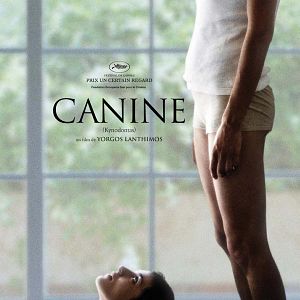 Photo Canine