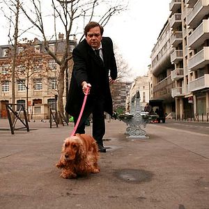 Photo Bambou