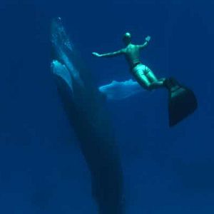 Photo Louie Psihoyos