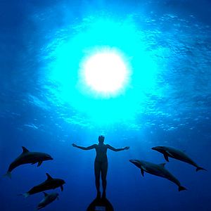 Photo Louie Psihoyos