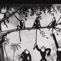 Photo Monkey Melodies