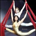 Photo The Gymnast