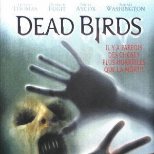 Photo Dead Birds