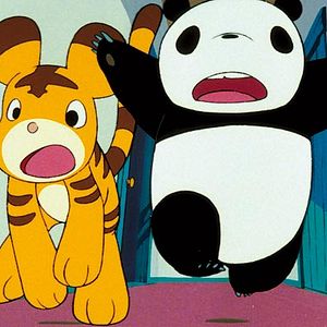 Photo Panda Petit Panda
