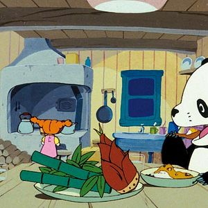Photo Panda Petit Panda