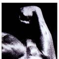 Photo Pumping Iron