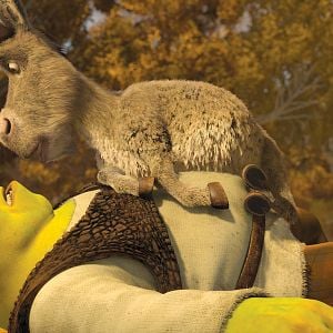 Photo Mike Mitchell (V)