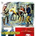 Photo 7 Winchester pour un massacre
