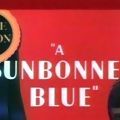 Photo A Sunbonnet Blue