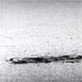 Photo The Loch Ness Monster : Proof at Last !