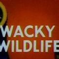 Photo Wacky Wildlife