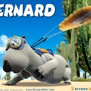 Photo Bernard