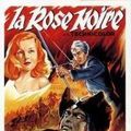 Photo La Rose noire