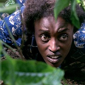 Photo Philippe Van Leeuw