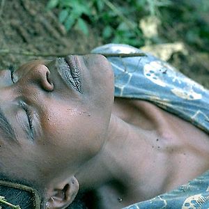 Photo Philippe Van Leeuw