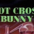 Photo Hot Cross Bunny