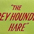Photo The Grey Hounded Hare