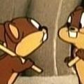 Photo The Goofy Gophers