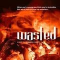 Photo Wasted