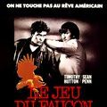 Photo Le Jeu du faucon